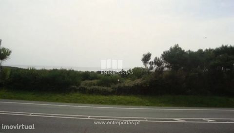Cultivated land with 9,498 m2 located in the proximity of the beach. Good sun exposure. Excellent access. Ref.:VCM09174 ENTREPORTAS Founded in 2004, the ENTREPORTAS group with more than 15 years, is a leader in real estate mediation in the markets in...