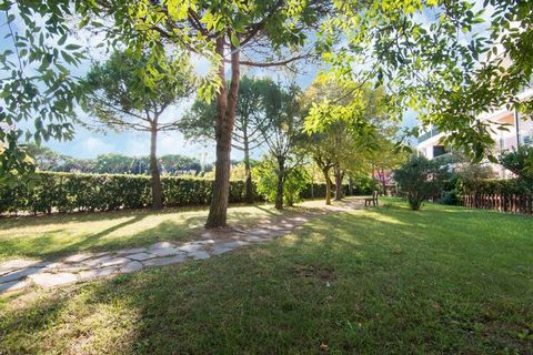 Discover a home away from home in this lovely abode in Rosolina and a huge wellness area comprising a large swimming pool for beating the heat in style. This home can host ideally a family with children or a group. The apartments assigned can be on t...