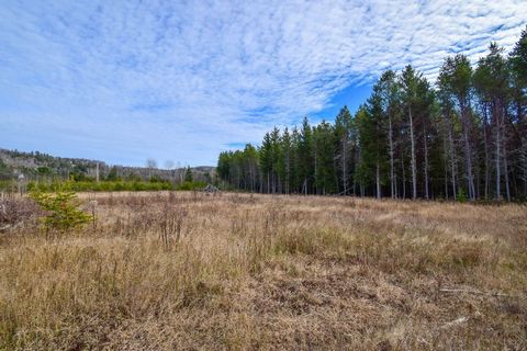 Turnkey flat land of 67,694 sf. Residential zoning, resort and you can even have a farmhouse. Right to small animals, horses and culture, but also accommodation and catering center, craft center, camping, sale and boarding of animals. A few steps fro...
