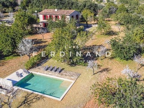 FINCA with RENTAL LICENSE located in the middle of a valley and walking distance to the TOWN This 100% Mallorcan house in one of the most beautiful villages in Mallorca, Caimari, the entrance to the Serra de Tramuntana. It's called as well as the Oli...