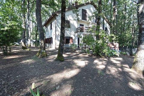 Strada Cassia Cimina Immerso nel verde dei monti cimini, all'interno di un piccolo comprensorio completamente recintato con doppio ingresso da cancello elettrico carrabile proponiamo un appartamento in villa con ingresso indipendente. La casa gode di...