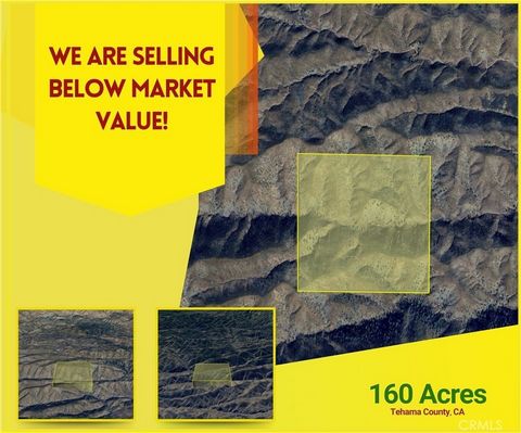 160 Acres in Tehama County CA, Red Bluff being the closest town. See pictures for the best ability to place location of the property. Call listing agent for any questions or further information.