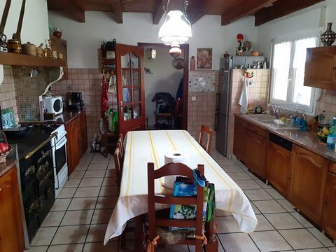 photo no. 6