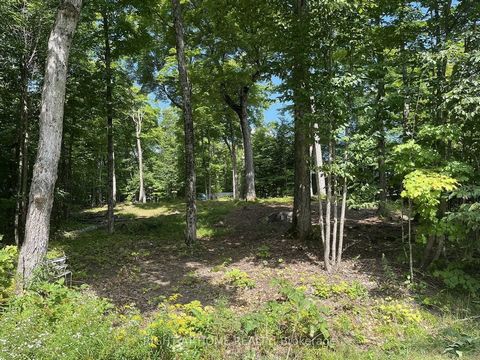 Schöner Rosseau-See, nur wenige Minuten von diesem wunderschönen Wohnbaugrundstück entfernt! Ruhige Gegend mit einfachem Zugang zu Muskoka Lakes Marine und Waterfront Park in der malerischen Gemeinde Rosseau! Das Grundstück ist geräumt, Hydro an der ...