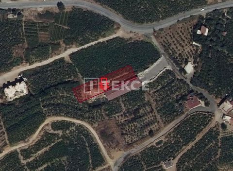 Terrain proche de la mer avec projet à Alanya Antalya Kestel est un endroit d'élite très apprécié par les locaux et les étrangers en raison de sa proximité avec les commodités quotidiennes et sociales. La région de Kestel devient de plus en plus bell...