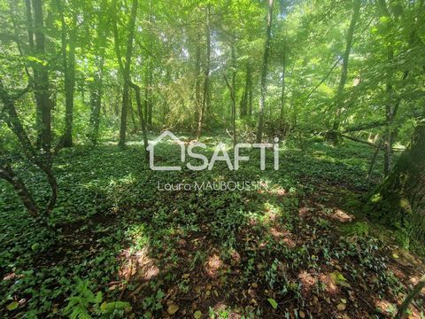 Situé sur la commune de Saint-Aubin-des-Châteaux, ce terrain d’une superficie de 1 254 m² avec un petit ruisseau passant au bord de la parcelle offre un cadre paisible et boisé ayant la possibilité de faire votre bois de chauffage. Cette charmante lo...