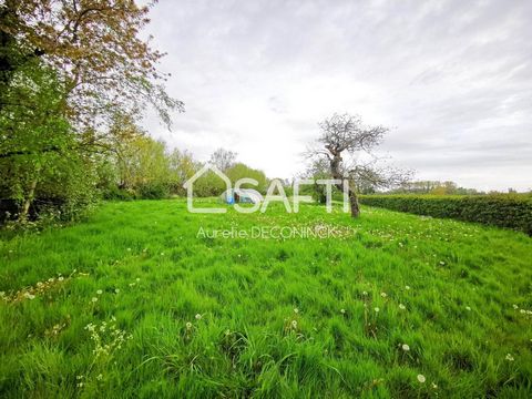 Superb house of 136 m² tastefully renovated in the 1980s Turnkey properties, possibility of creating a gite or family home Built on a plot of 6719 m² fully enclosed, a set of two houses 136 and 53 m² and hangar of 180 m² In the house of 136 m²; On th...