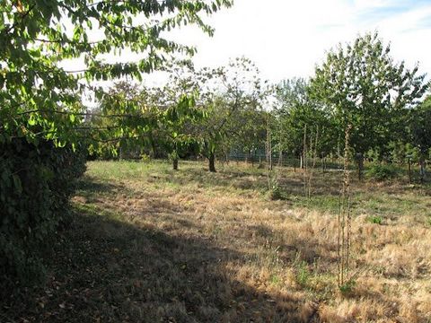 En plein centre de la petite ville de Couhé et à 30 minutes de POITIERS, beau terrain à construire non viabilisé. Cadre verdoyant au milieu des arbres fruitiers, à 5 minutes à pieds des écoles et des commerces. Aucun vis à vis. Calme et tranquillité ...