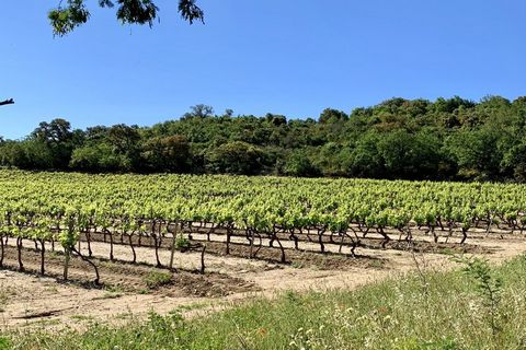 Wake up to magical vineyard views... Come and discover this pretty house located in a quiet and green environment at the Plan de la Tour bordered by vineyards. Built on a large flat plot of land of 3400 m2, this detached villa offers a beautiful livi...