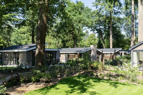 De vrijstaande, gelijkvloerse chalets op Resort De Utrechtse Heuvelrug zijn er in verschillende varianten. Dit 4-pers. chalet beschikt over een woonkamer met TV. De open keuken is onder meer voorzien van een combimagnetron. Er zijn twee slaapkamers, ...