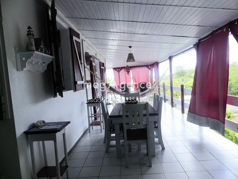 photo no. 6