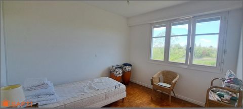 photo no. 5