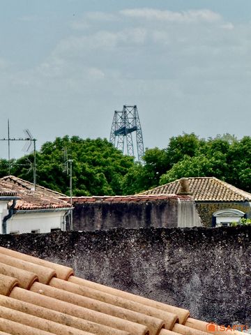 photo no. 15