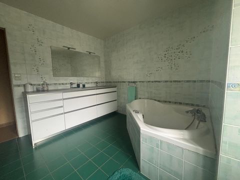 photo no. 8