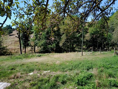 photo no. 16