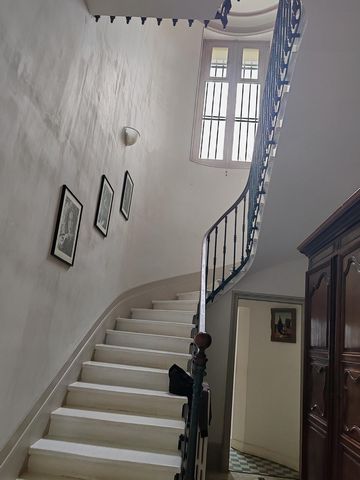 photo no. 7