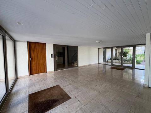 photo no. 11