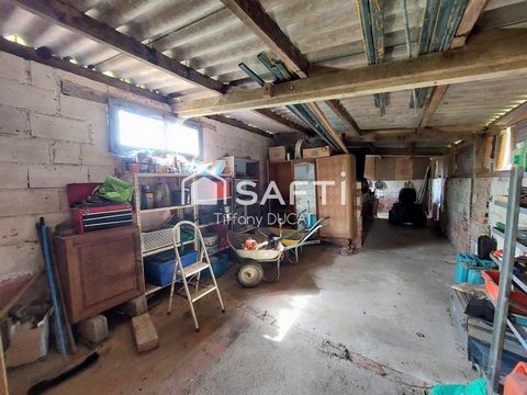 photo no. 14
