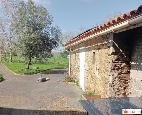 photo no. 14