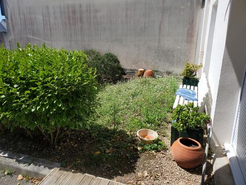 photo no. 5