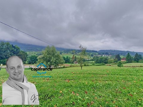photo no. 1