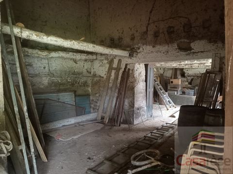 photo no. 6