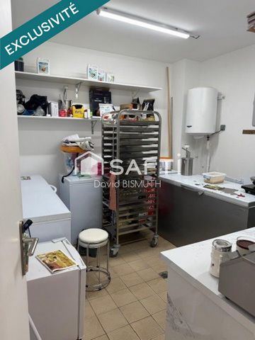 photo no. 11
