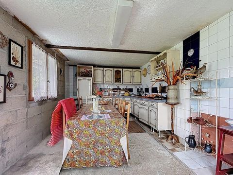photo no. 16