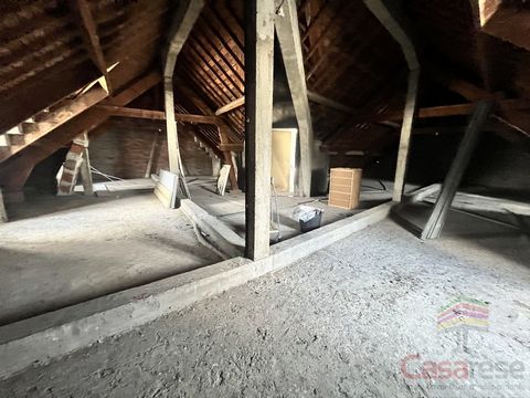 photo no. 15