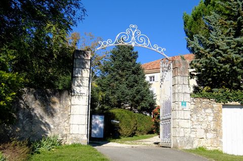 photo no. 8