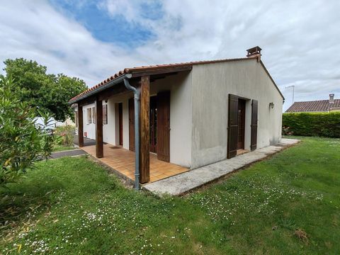 photo no. 14