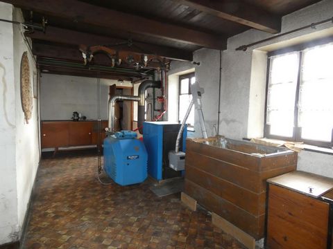 photo no. 8
