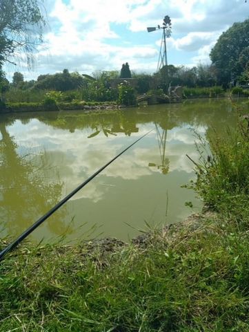 Dpt Maine et Loire (49), à vendre proche de SEICHES SUR LE LOIR maison de plain pied
