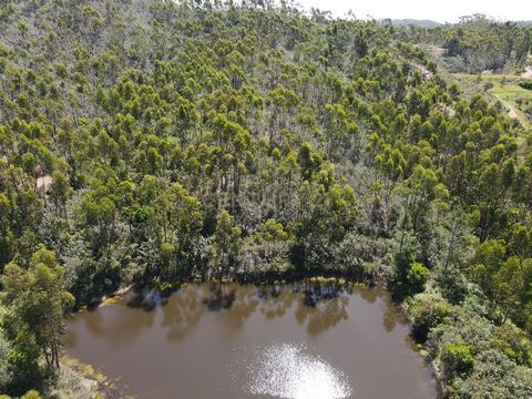 Descubra este encantador terreno rústico em Monchique, Faro, disponível por 79.000. Com vistas deslumbrantes para a montanha e um ambiente campestre, este espaço é ideal para quem procura tranquilidade e beleza natural. O terreno oferece uma área gen...