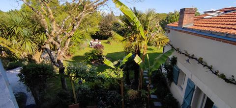 photo no. 16