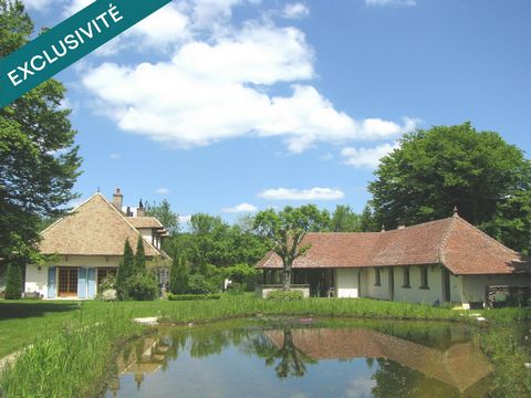 photo no. 16