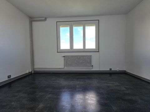 photo no. 6