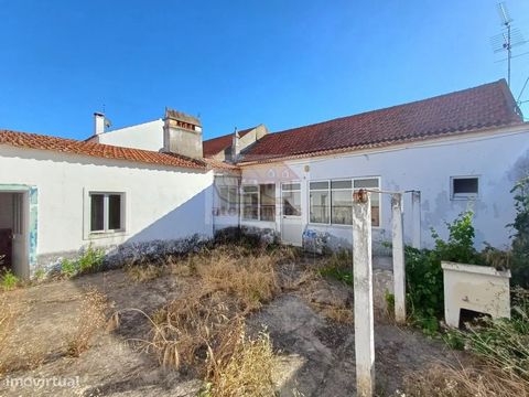 Localizada numa aldeia típica alentejana de casas brancas nas margens do rio Sado, a cerca de 20 minutos de Grândola e a 25 minutos de Alcácer do Sal. Actualmente, este imóvel é composto por: - 2 quartos - 1 sala - cozinha - 2 wc's - solário - sótão ...