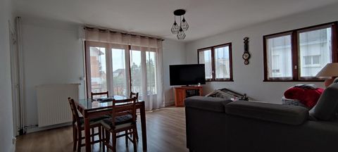 photo no. 7
