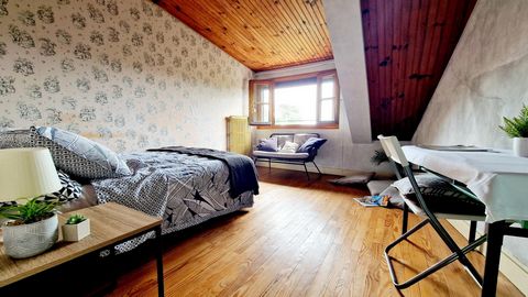 photo no. 9