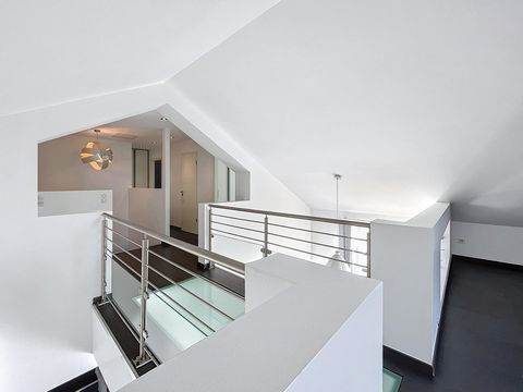 photo no. 4