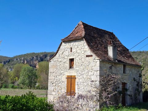 photo no. 1