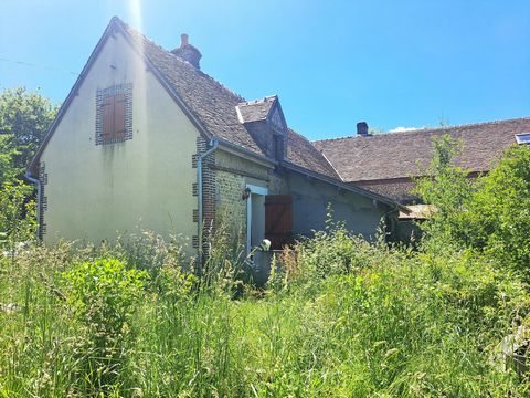 photo no. 8