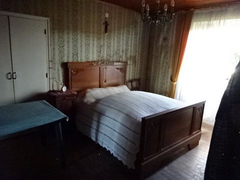 photo no. 6