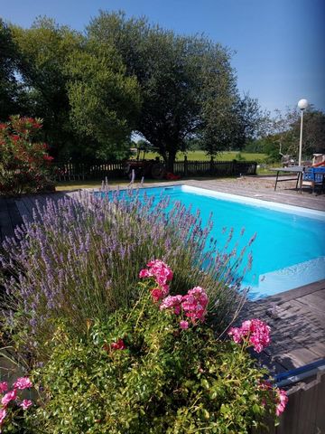 photo no. 19