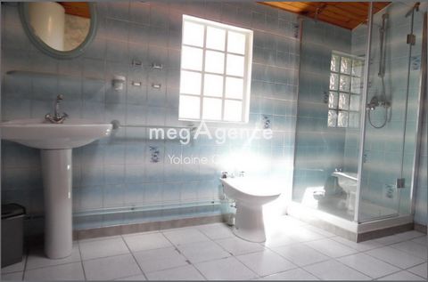 photo no. 8