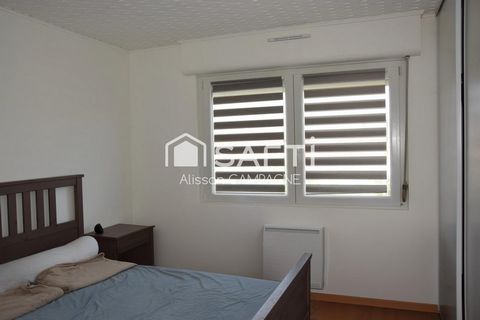 photo no. 9