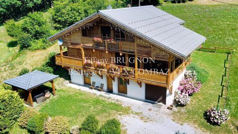 Magnifique chalet bois au cœur du village