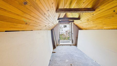 photo no. 10