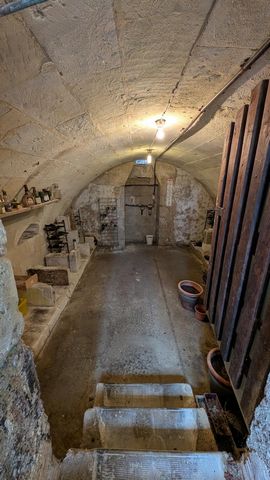 photo no. 13